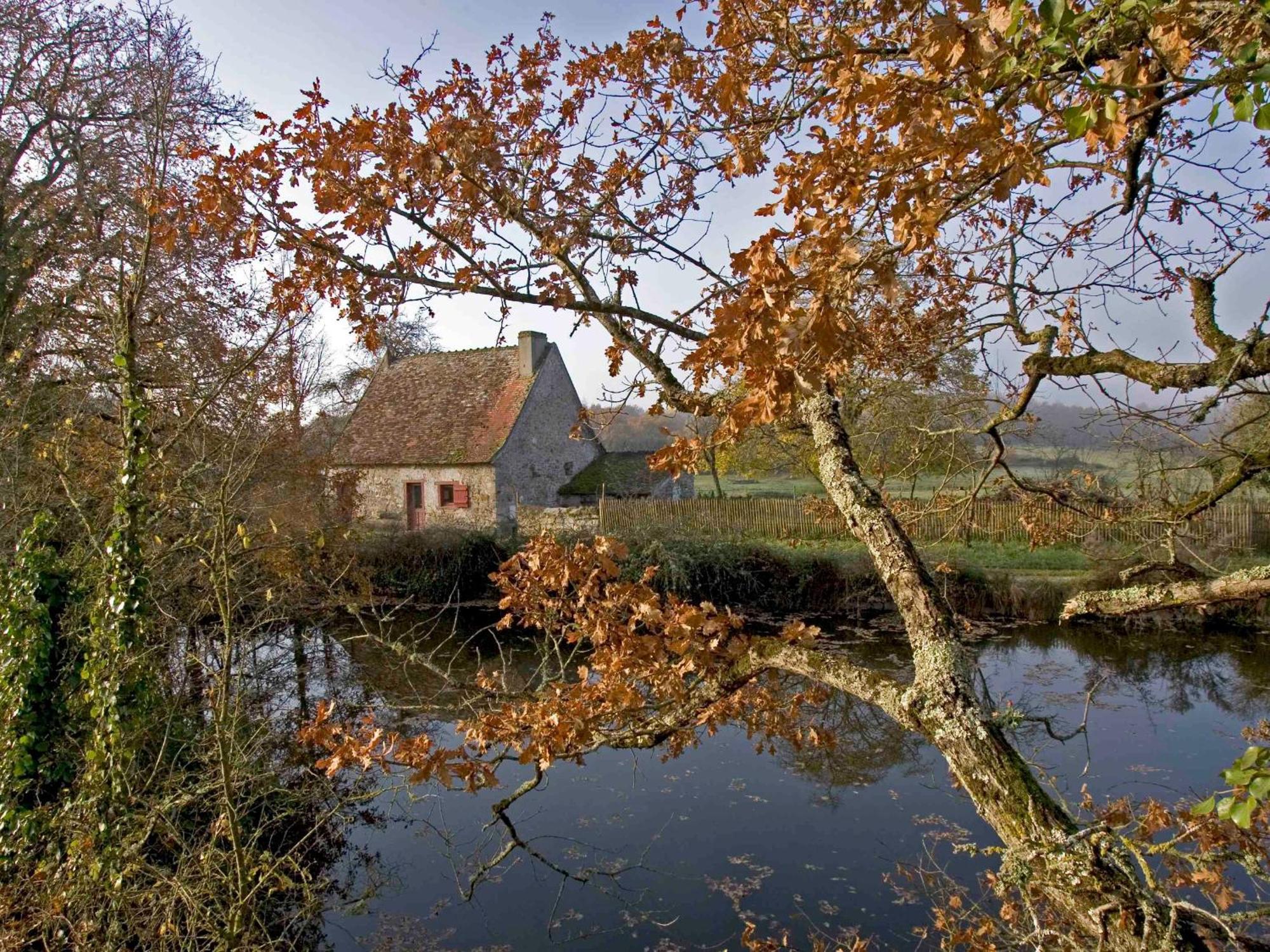 Villa Communauté de communes Brenne - Val de Creuse-Rosnay, 5 pièces, 8 personnes - FR-1-591-141 Extérieur photo